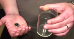 coin through glass cup - magic tricks