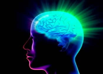 a person's brain in neon colors